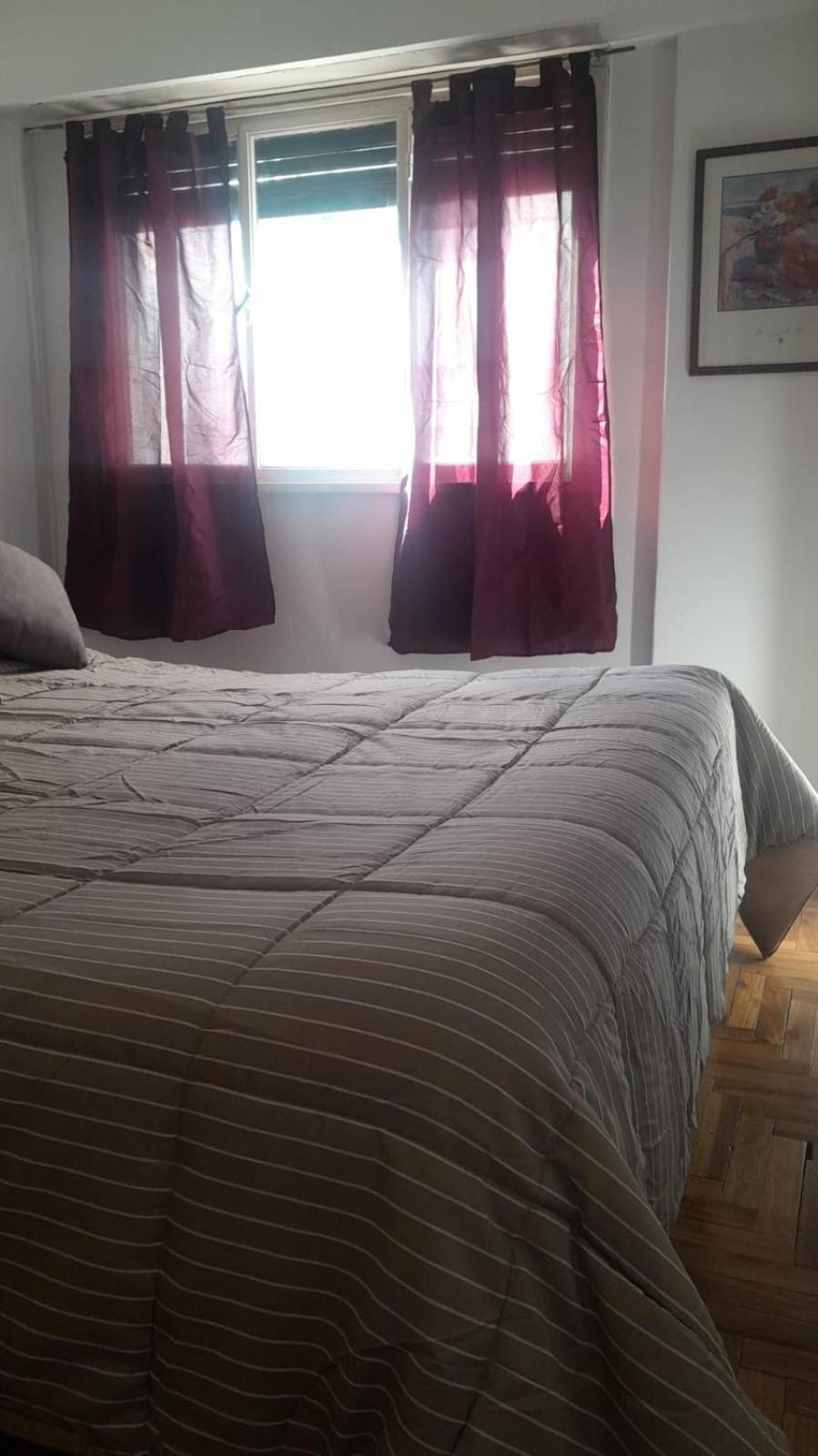 Apartment Movistar Arena Confort *